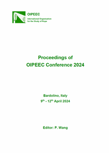 Development of steel-fibre hybrid ropes and the application in mining hoist systems