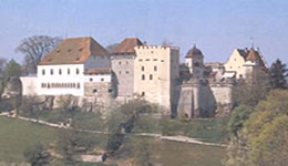 2003 Oipeec Conference Featured Image Lenzburg Large 1 - Oipeec Book Store